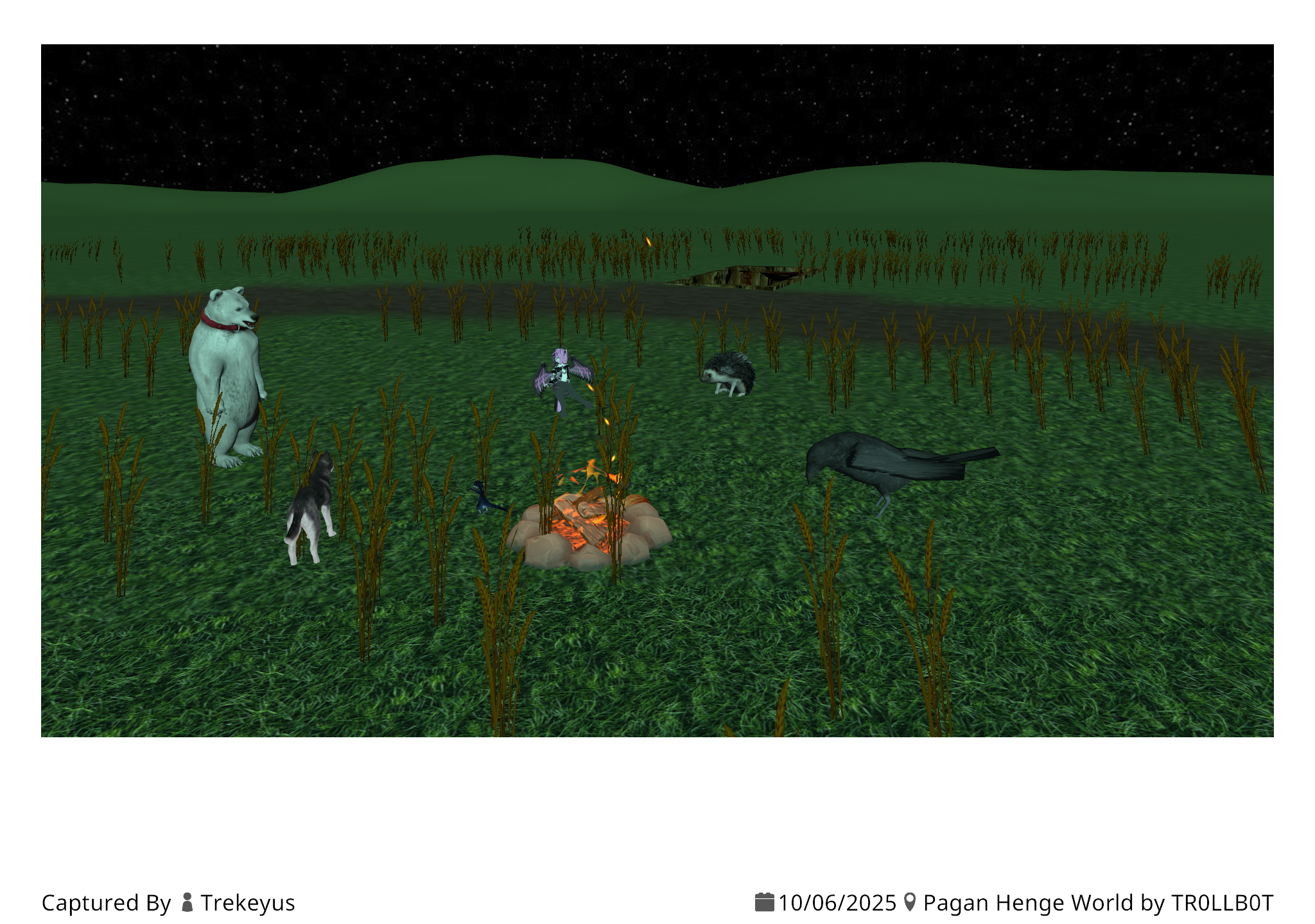 Ritual gathering around a campfire at Pagan Henge World with bear, hedgehog, raven, and others